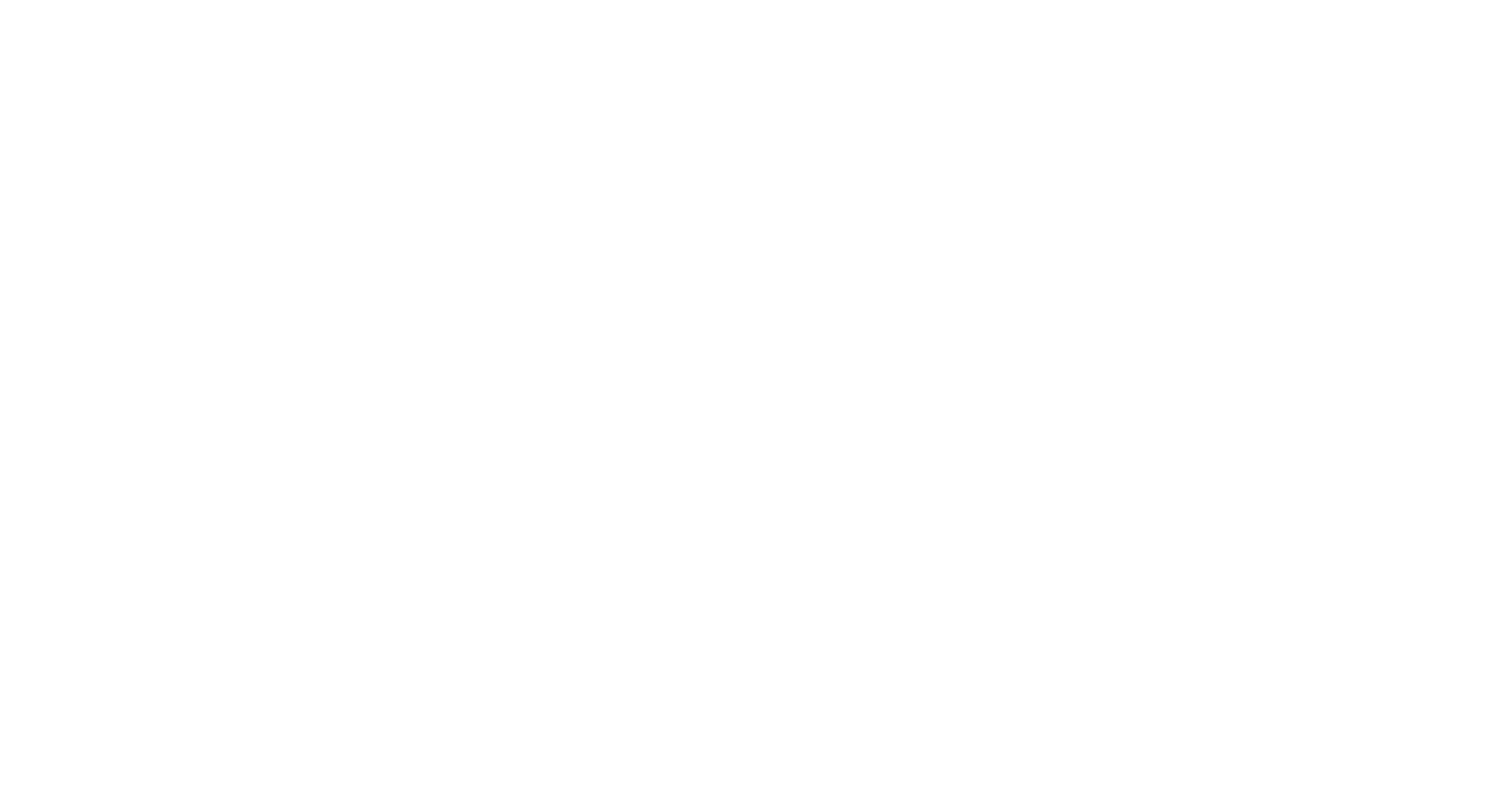 Go Birds Logo